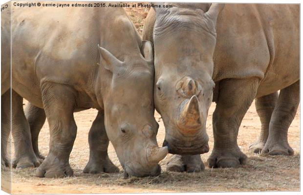 Rhino Canvas Print by cerrie-jayne edmonds