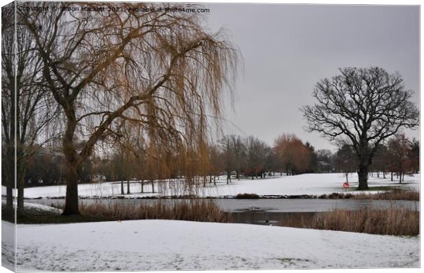 Horton Country Park in Winter Canvas Print by Simon Hackett