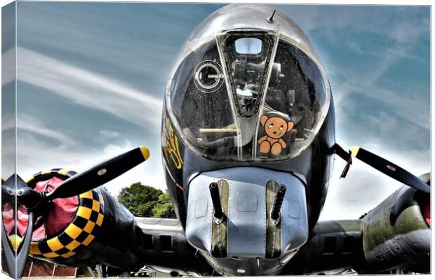 The Nose of Sally B Canvas Print by Simon Hackett