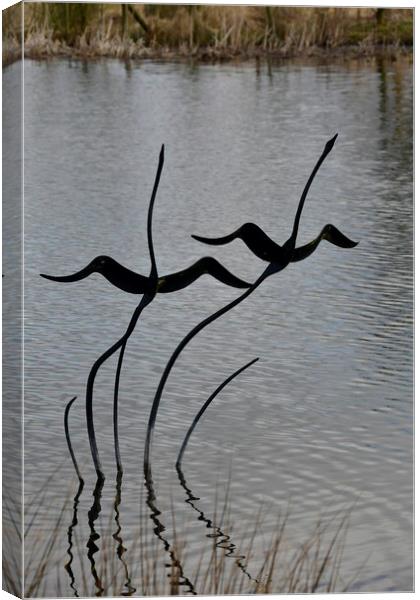 Swan Sculpture Canvas Print by Simon Hackett