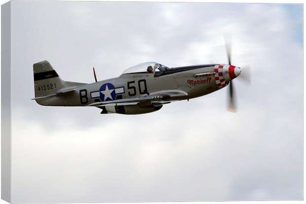   Mustang P51 usa Military @ Flying Machines show  Canvas Print by Andy Stringer