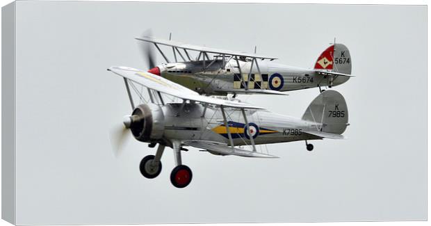  Sea fury and gloster gladiator  Canvas Print by Andy Stringer