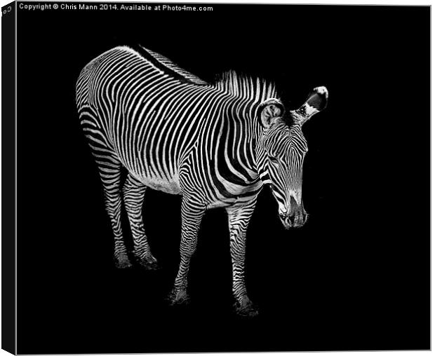  Stripes Canvas Print by Chris Mann