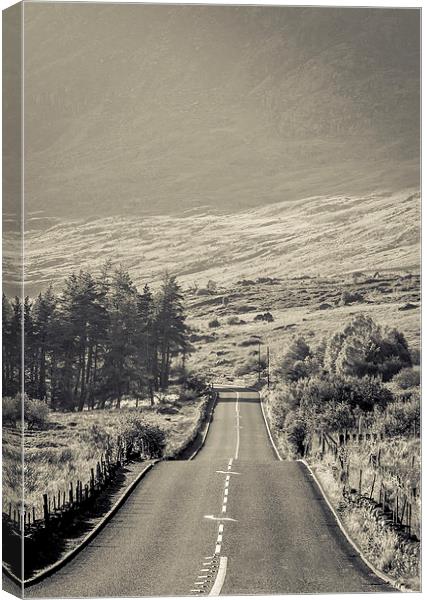  The long road Canvas Print by Gopal Krishnan