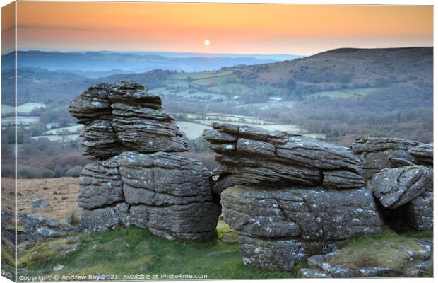 Rocks at sunrise (Hound Tor) Canvas Print by Andrew Ray
