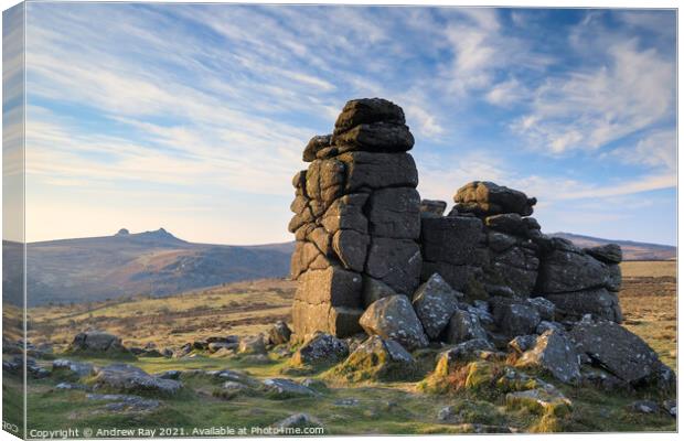 Morning at Hound Tor (Dartmoor) Canvas Print by Andrew Ray