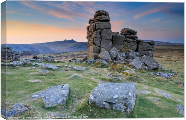 Rocks on Hound Tor at sunrise Canvas Print by Andrew Ray