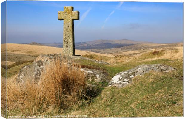 Hutchinson's Cross view Canvas Print by Andrew Ray