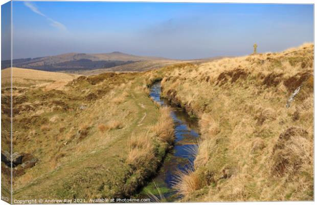 Devonport Leat at Hutchinson's Cross Canvas Print by Andrew Ray