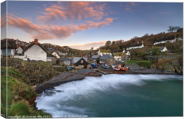 Cadgwith Cove at sunrise Canvas Print by Andrew Ray