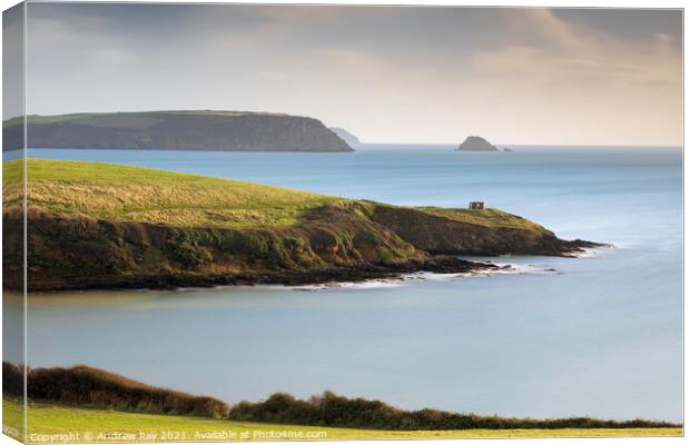 Porthcurnick view Canvas Print by Andrew Ray