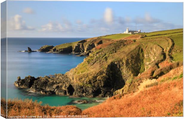 Autumn at Housel Bay  Canvas Print by Andrew Ray