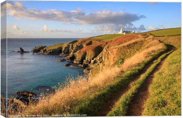 Footpath to Lizard Lighthouse  Canvas Print by Andrew Ray