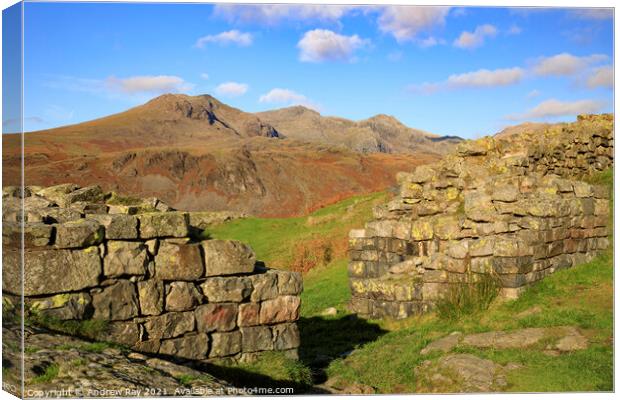 The Scafell's from Hardknott Roman Fort  Canvas Print by Andrew Ray