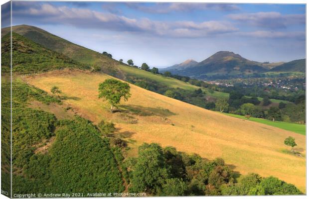 Shropshire Hills view Canvas Print by Andrew Ray