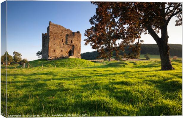 Evening light at Hopton Castle Canvas Print by Andrew Ray