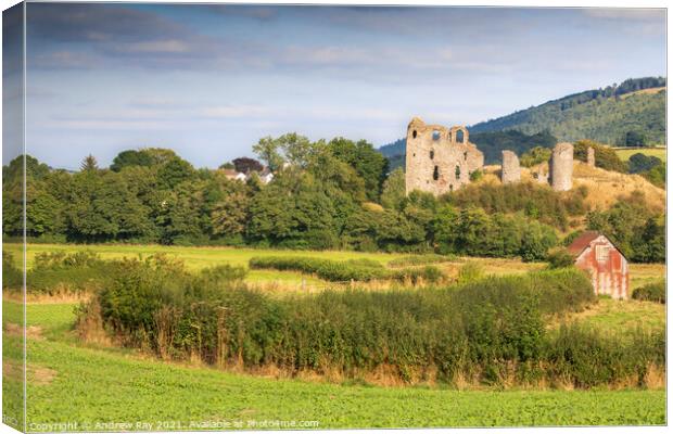 Clun Castle view  Canvas Print by Andrew Ray