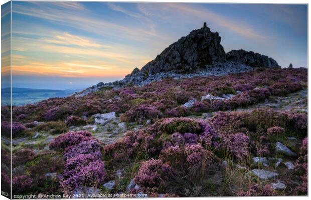Towards the setting sun (Stiperstones)  Canvas Print by Andrew Ray