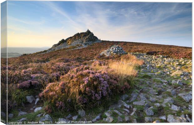 Summer evening at the Stiperstones  Canvas Print by Andrew Ray