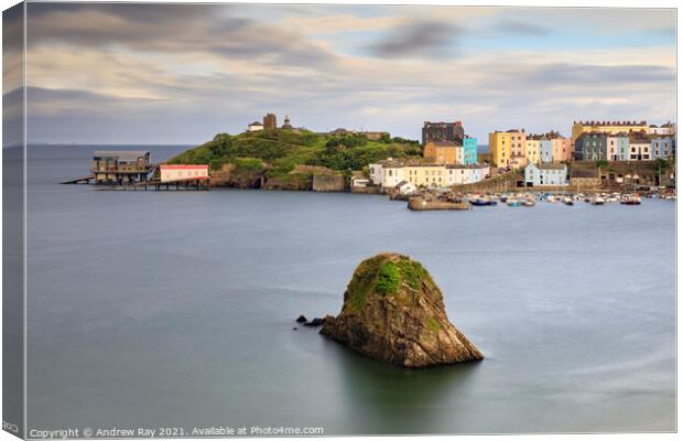 Tenby Harbour view  Canvas Print by Andrew Ray
