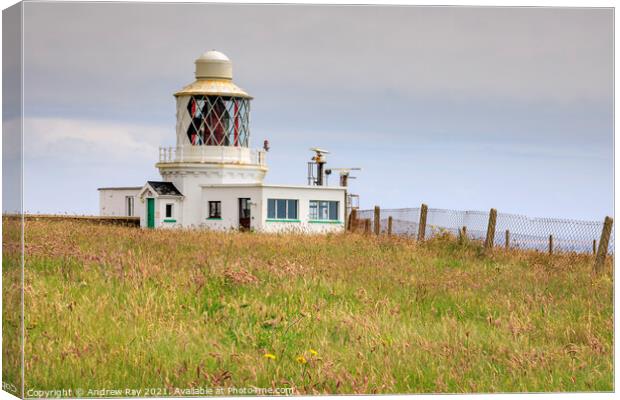 St Ann's Head Lighthouse  Canvas Print by Andrew Ray