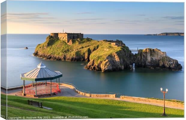 Above the bandstand (Tenby)  Canvas Print by Andrew Ray