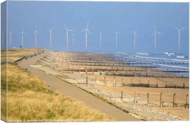 Above the coast path (Redcar) Canvas Print by Andrew Ray