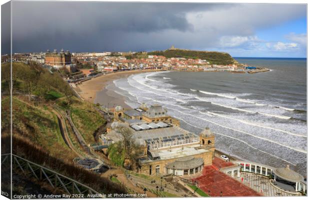 Above the spa (Scarborough)  Canvas Print by Andrew Ray
