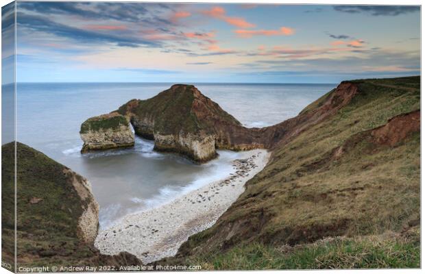 High stacks (Flamborough Head)  Canvas Print by Andrew Ray