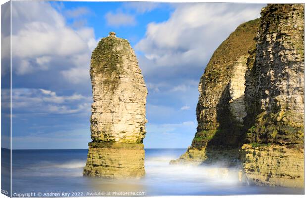 Sea stack at Selwicks Bay  Canvas Print by Andrew Ray