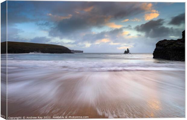 Foam pattern at sunrise (Broad Haven South)  Canvas Print by Andrew Ray