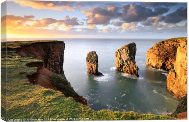 Cliff view (Stack Rocks) Canvas Print by Andrew Ray