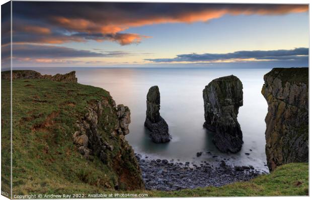 Elegug stacks at sunset  Canvas Print by Andrew Ray