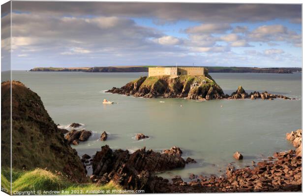 Thorn Island Fort  Canvas Print by Andrew Ray