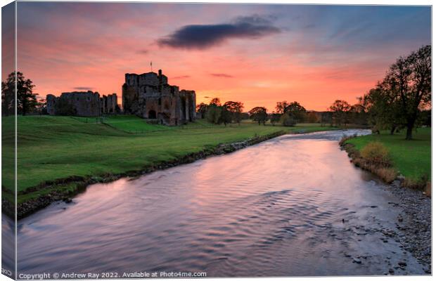 Brougham castle at sunset (Penrith) Canvas Print by Andrew Ray
