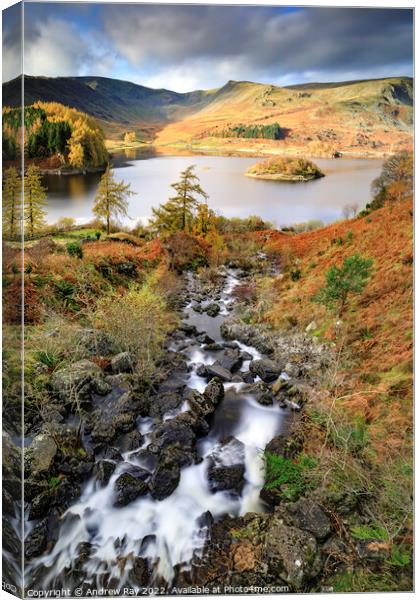 Autumn at Haweswater  Canvas Print by Andrew Ray