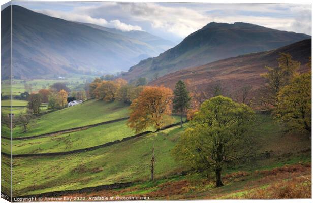 Autumn trees (St Johns in the Vale)  Canvas Print by Andrew Ray