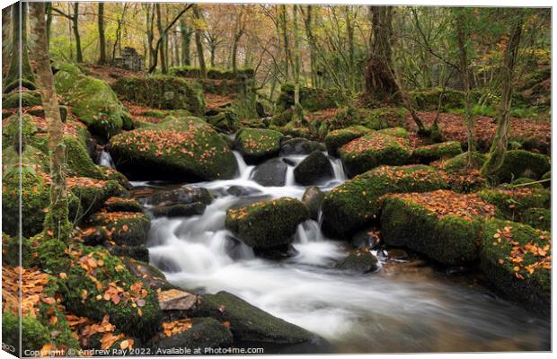 River Kennall in autumn  Canvas Print by Andrew Ray