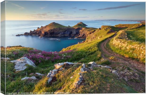 Evening light (The Rumps) Canvas Print by Andrew Ray