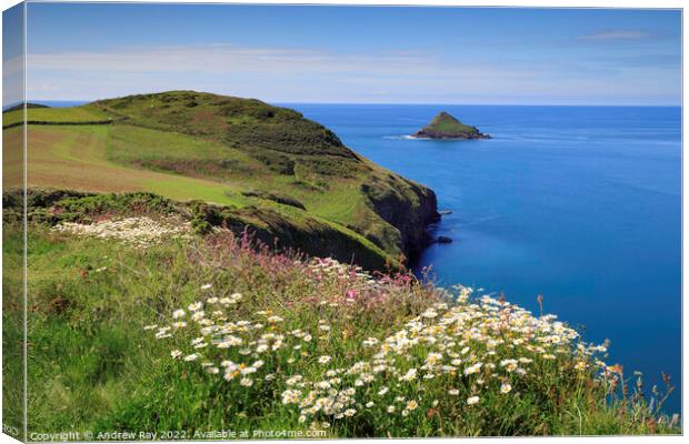 Spring flowers at The Rumps Canvas Print by Andrew Ray