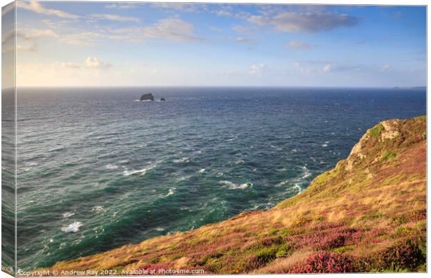 Summer evening at St Agnes Head  Canvas Print by Andrew Ray