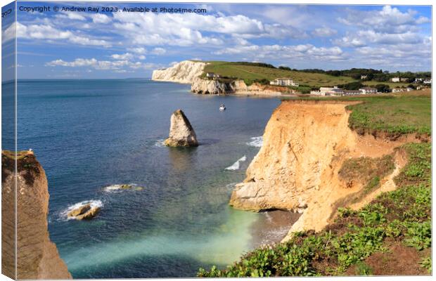 Morning at Freshwater Bay Canvas Print by Andrew Ray