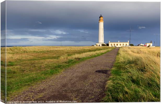 Towards Barns Ness Lighthouse Canvas Print by Andrew Ray