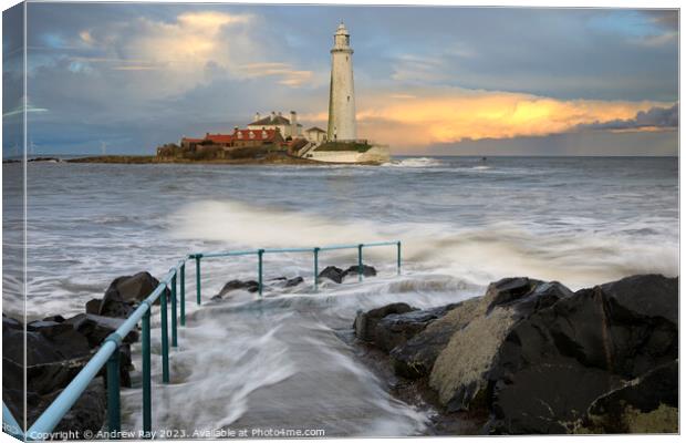 Evening at St Mary's Lighthouse Canvas Print by Andrew Ray
