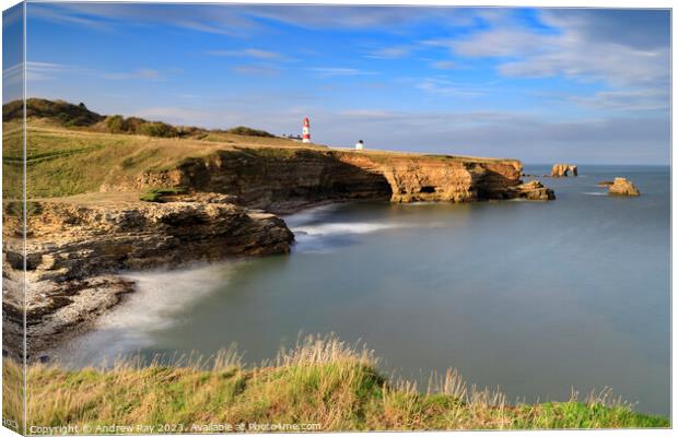 Towards Souter Lighthouse Canvas Print by Andrew Ray