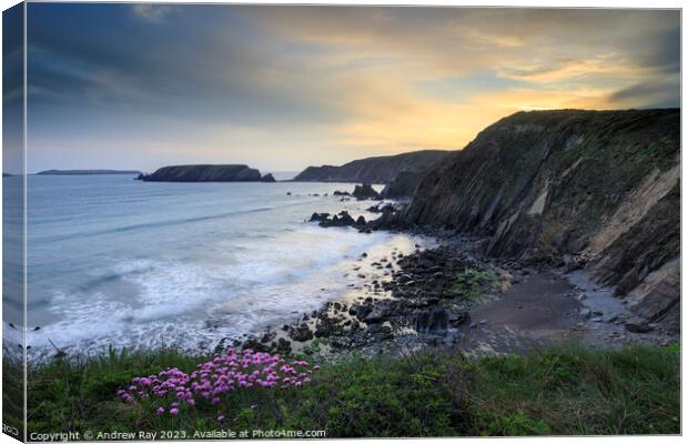 Spring sunset (Marloes Sands) Canvas Print by Andrew Ray