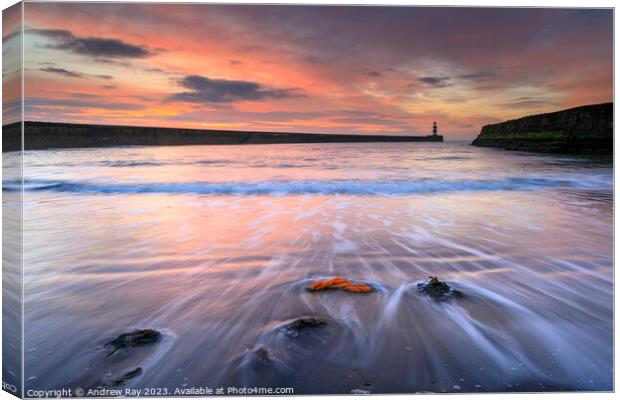 Seaham sunrise Canvas Print by Andrew Ray