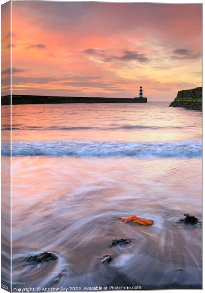 Sunrise at Seaham  Canvas Print by Andrew Ray