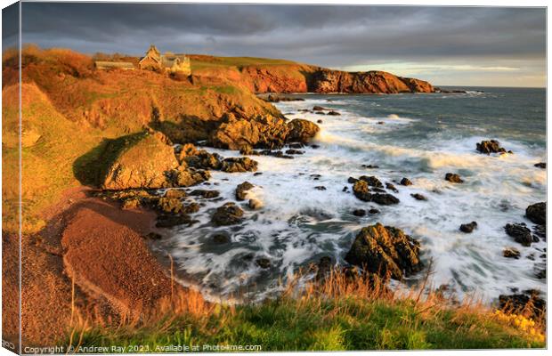 St Abb's view  Canvas Print by Andrew Ray