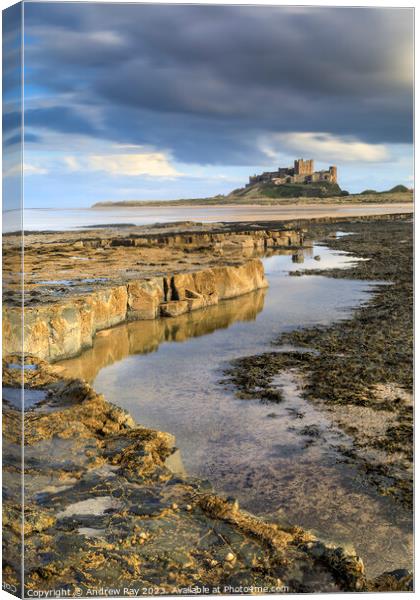 Ledges at Bamburgh  Canvas Print by Andrew Ray